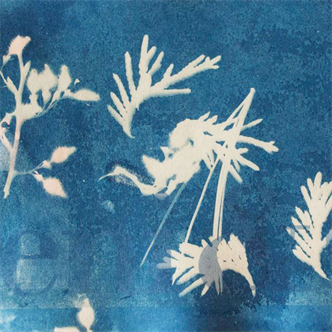 Camp Sawtooth Week 1: July 5-9 PM Half Day (ages 9-12) Photography: Pinhole Cameras & Cyanotypes