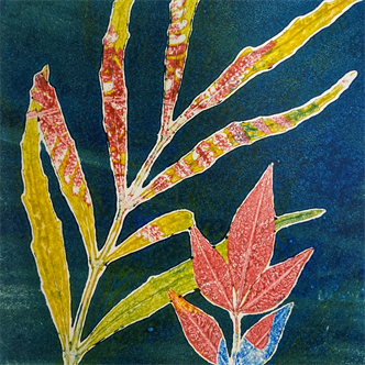 Printmaking: Nature Inspired Workshop (ages 9-12)