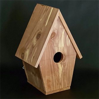 9322. Parent + Kid Workshop: Bird House
