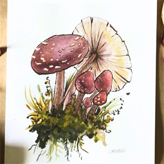 Watercolor Mini Mushroom Workshop | Ages 9-16