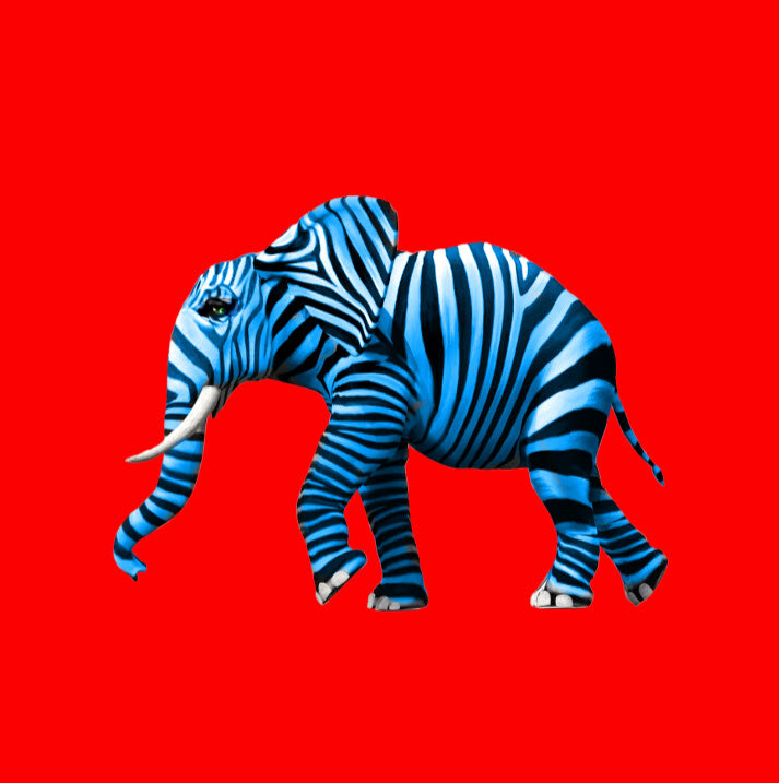Class Image . Intro to Digital Arts+w/ Kim Thore