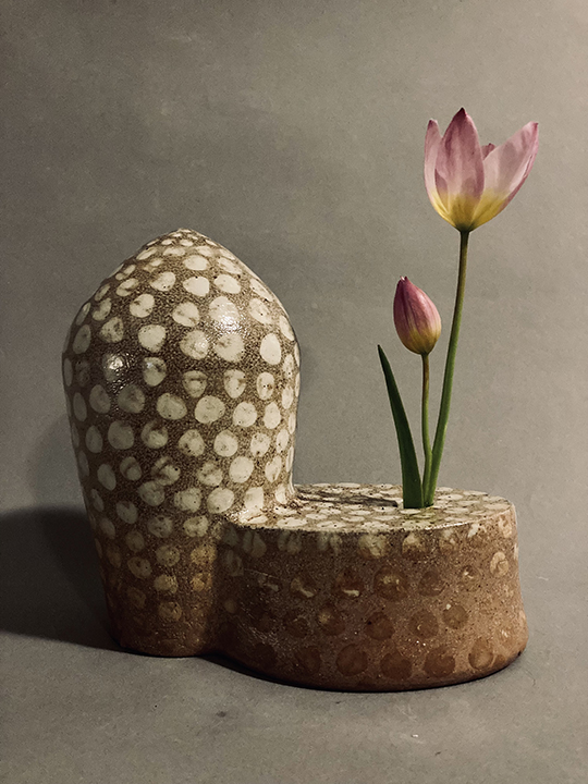 Class Image Color in Salt-Firing