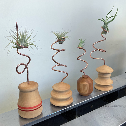 Class Image Beginner Turning: Air Plant Holders