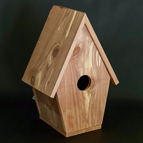 Class Image Parent + Kid Workshop: Bird House