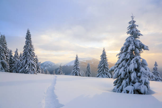 Class Image Winter Wonderland - Painting Snowy Acrylic Landscapes