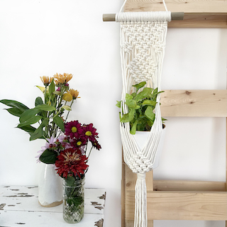 Class Image Taste of Art: Macrame Plant Hanger