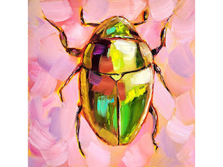 Class Image Painting Beautiful Bugs: Acrylic