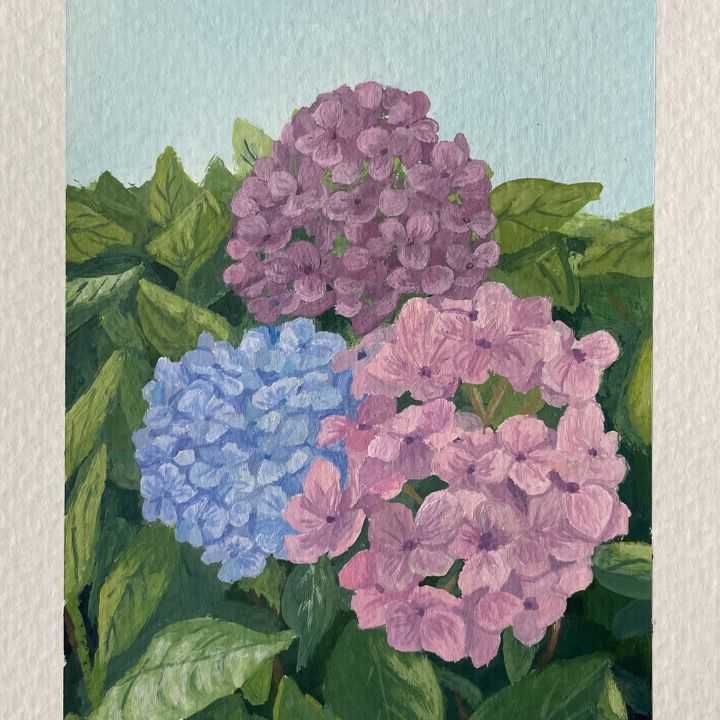 Class Image Painting Florals with Gouache | 9-12