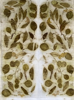 Class Image Eco-Printing:  Eucalyptus on Bandana