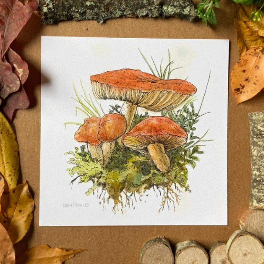 Class Image Intro to Mushrooms - Watercolor