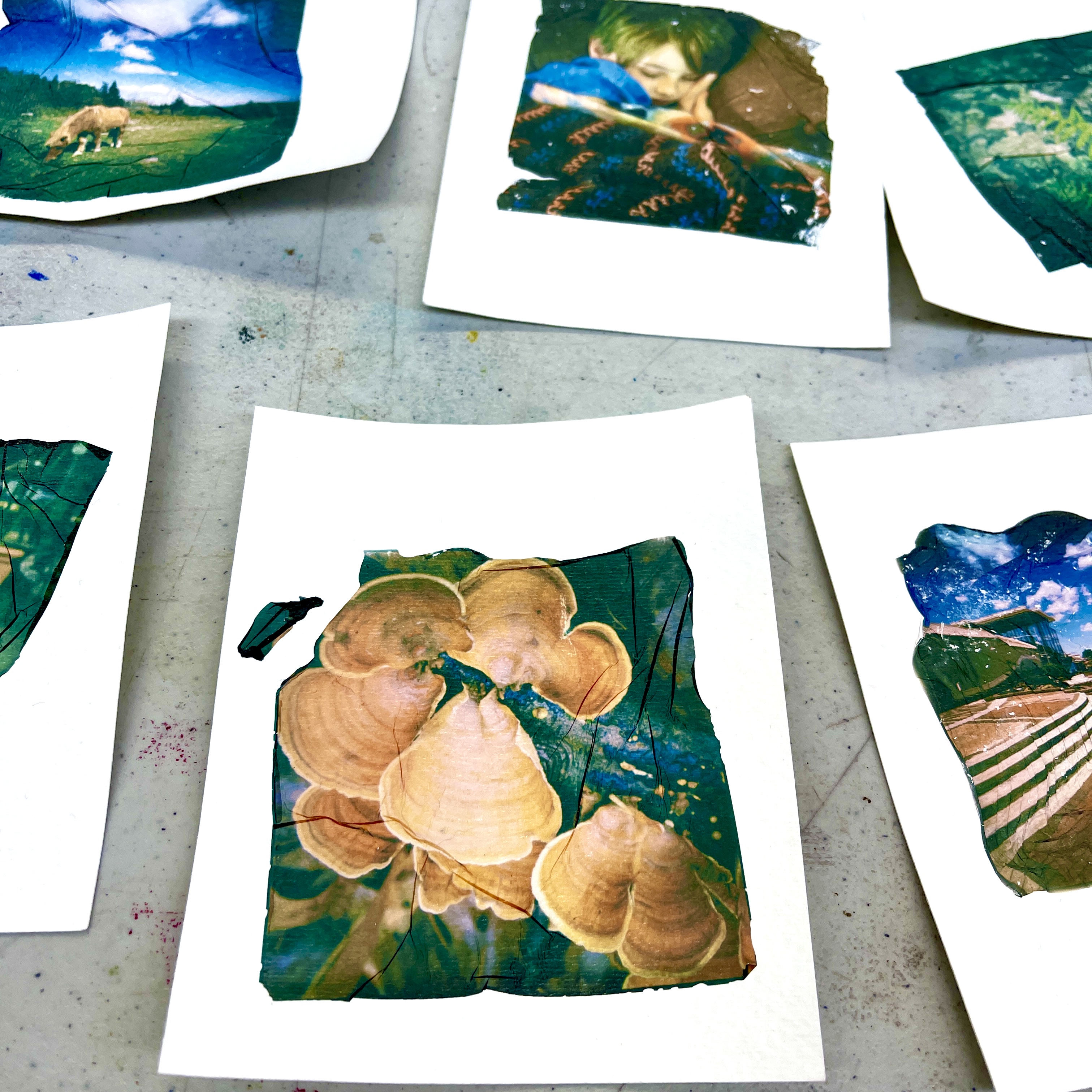 Class Image Photo Art Polaroid Transfers