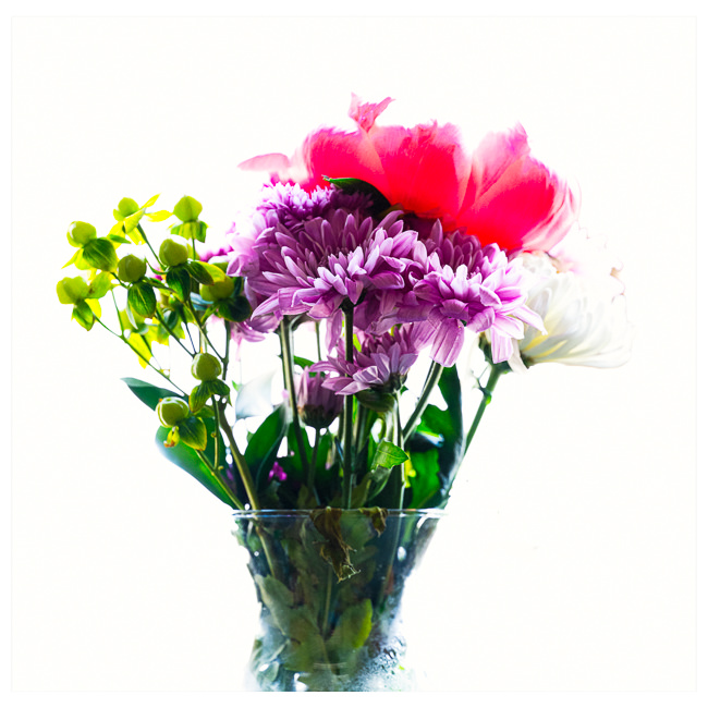 Class Image High Key Flower Photography