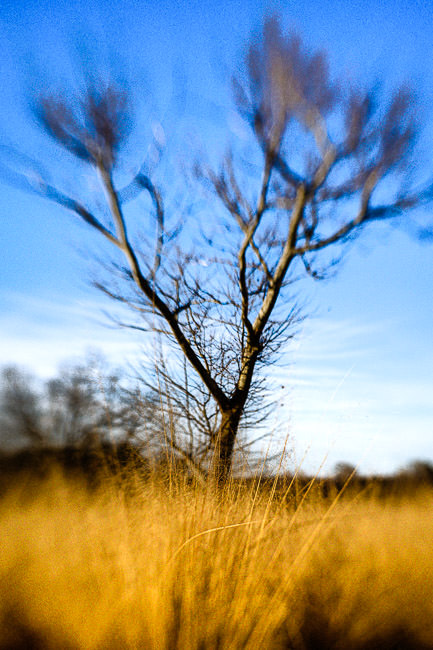 Class Image PhotoPoetry:  Observing the World in Image and Verse