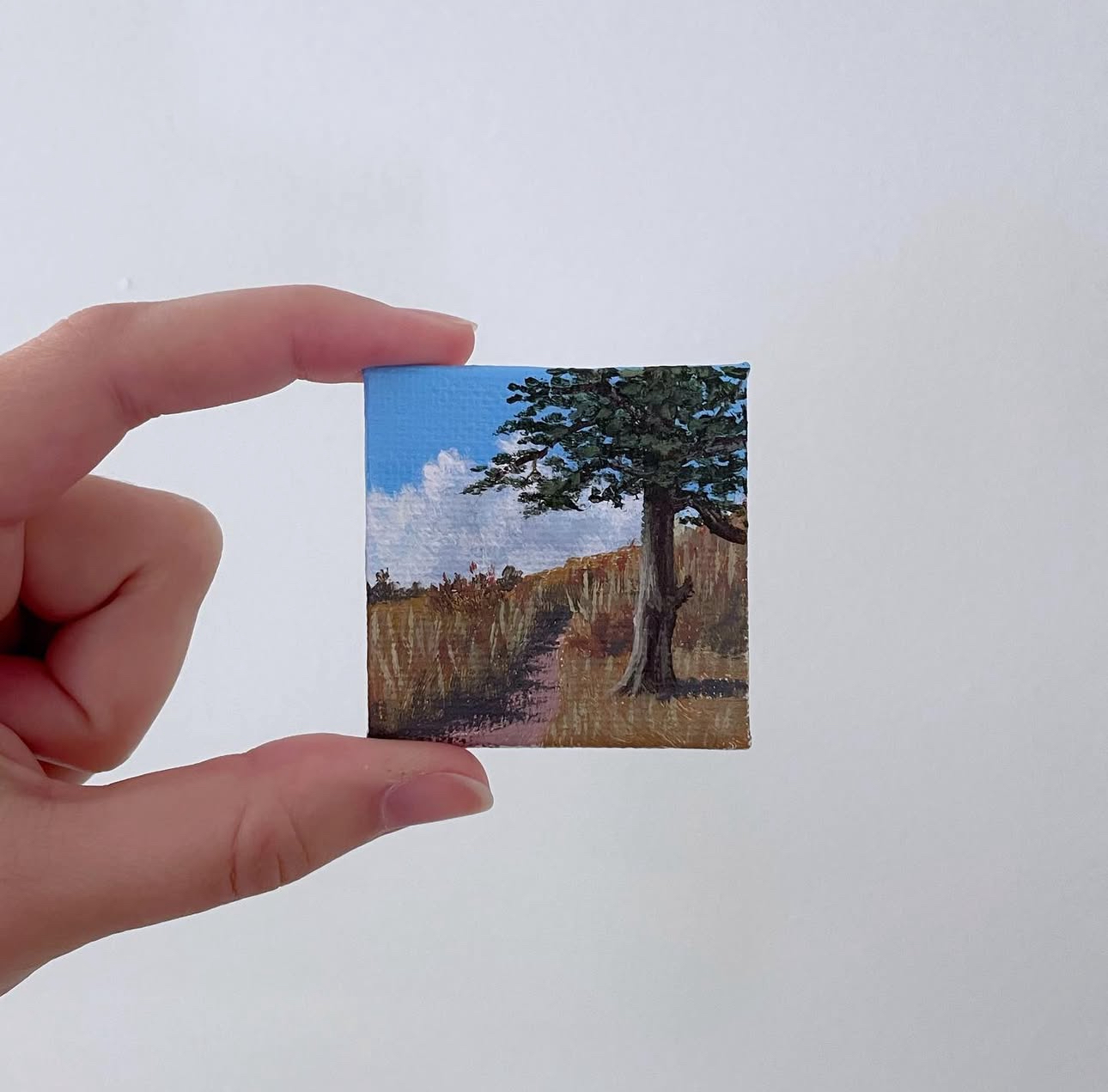 Class Image Miniature Paintings | 6-8