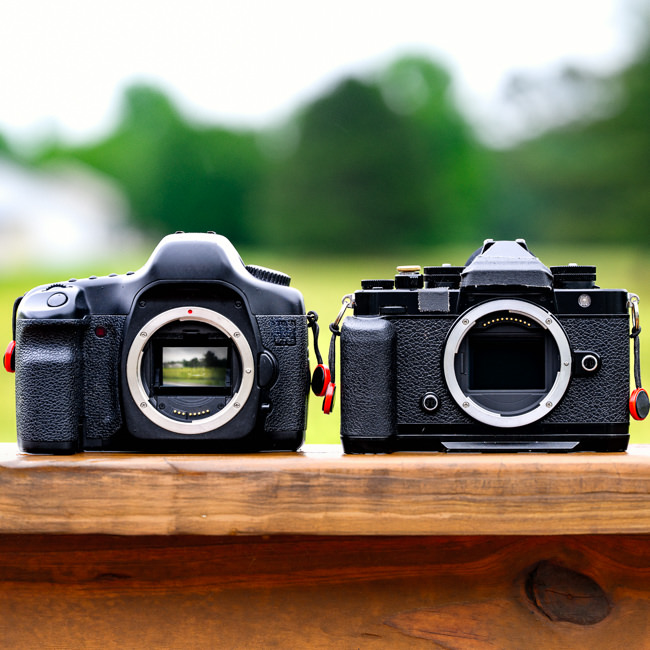 Class Image *NEW* Mirrorless vs. DSLR Cameras: What You Need to Know