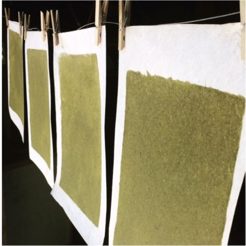 Class Image Papermaking Workshop